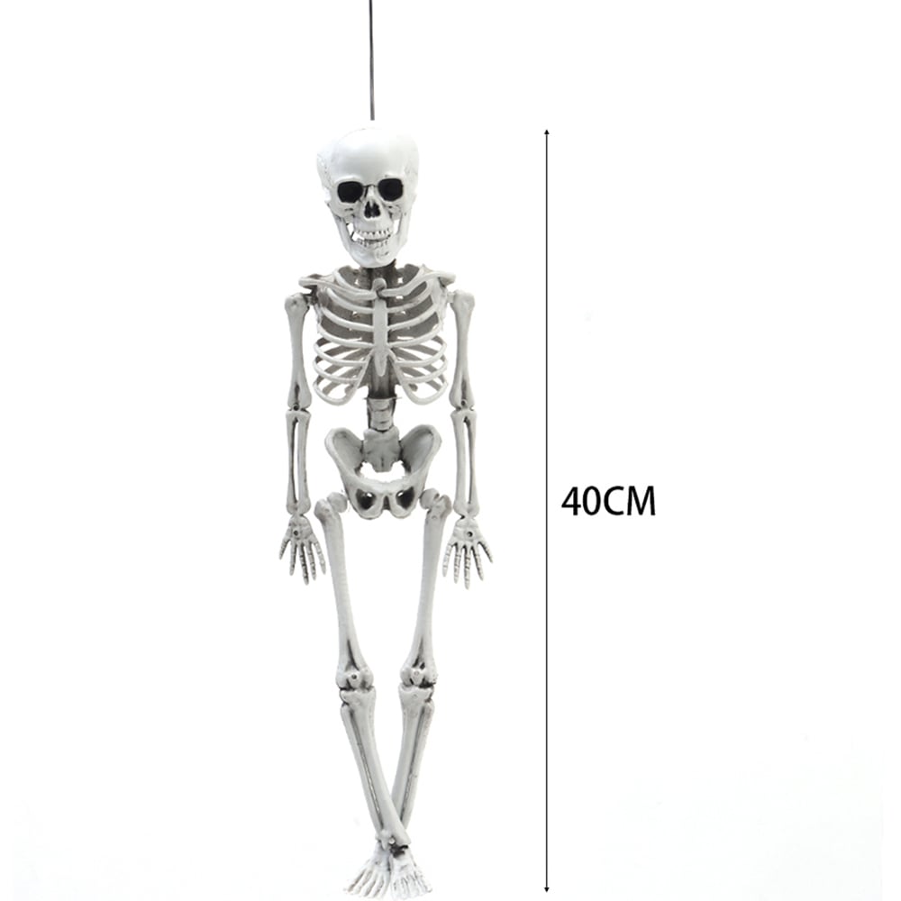 Living and Home Halloween Human Anatomy Skeleton 40cm Image 9