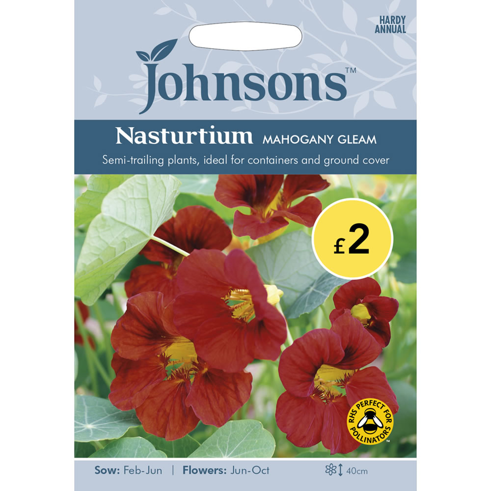 Johnsons Nasturtium Mahogany Seeds Image 2