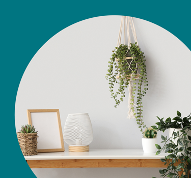 student home accessories