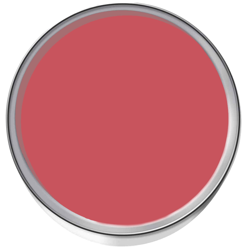 Thorndown Walls and Ceilings Foxwhelp Red Matt Paint 750ml Image 3