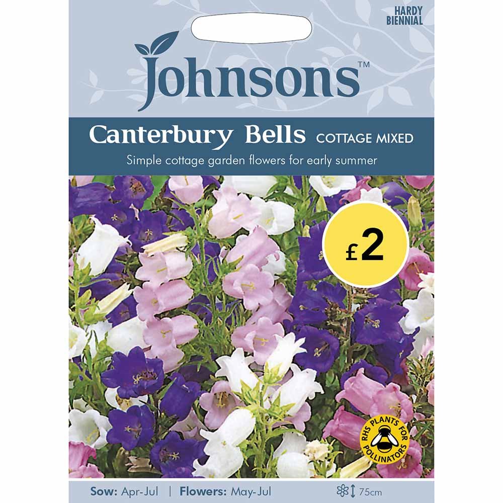Johnsons Seeds Canterbury Bells Cottage Mixed Image 2