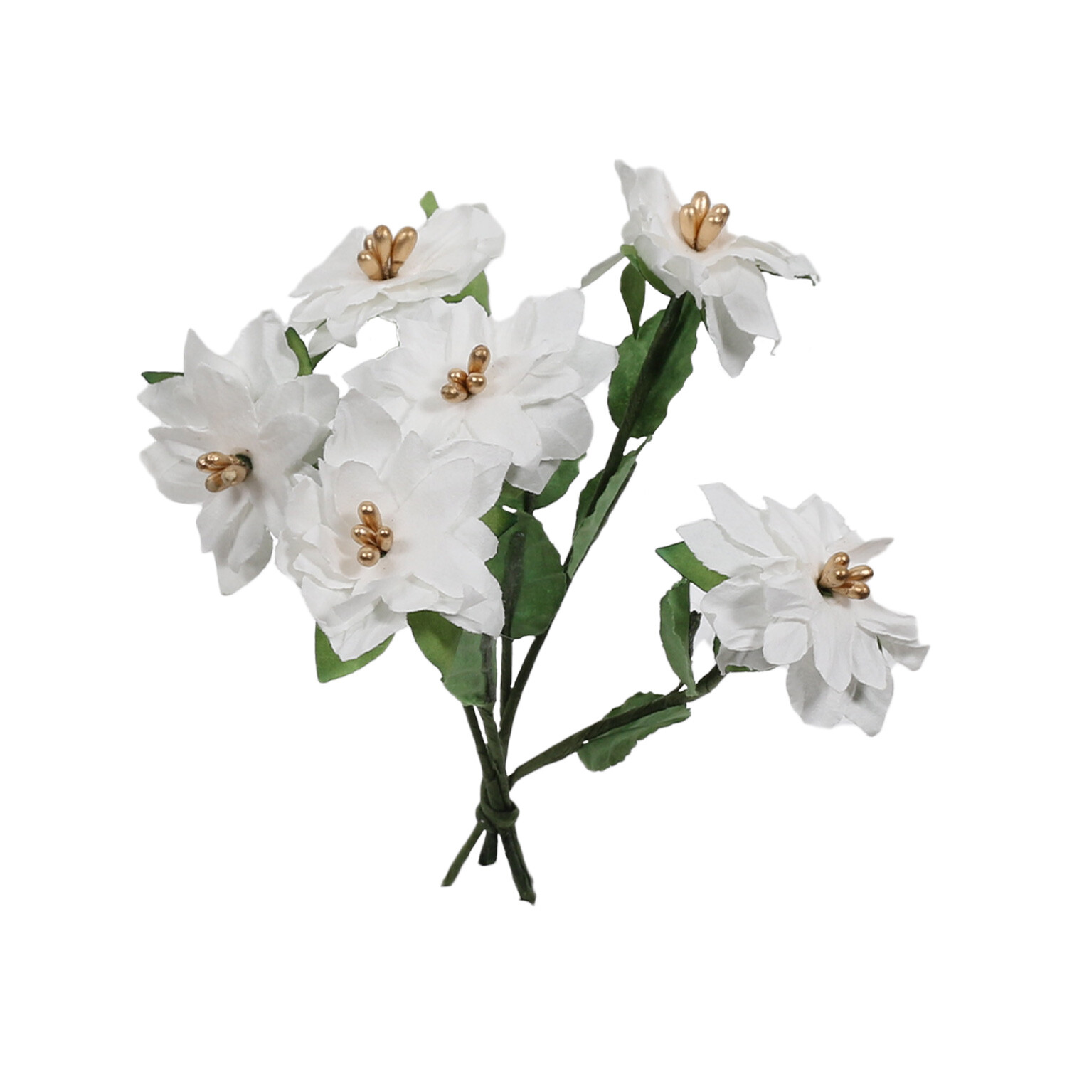 Poinsettias Pick - White Image