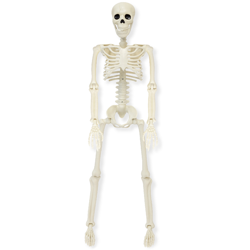 Global Gizmos Halloween Skeleton 90cm Image 1