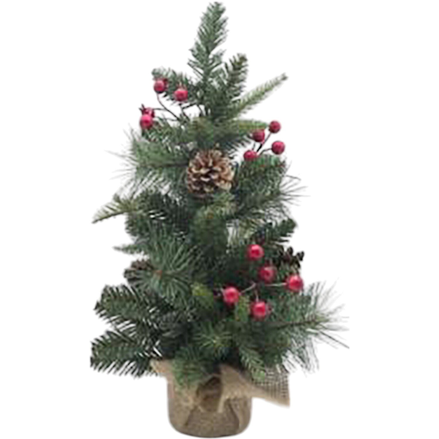 Traditional Potted Tree Green Image