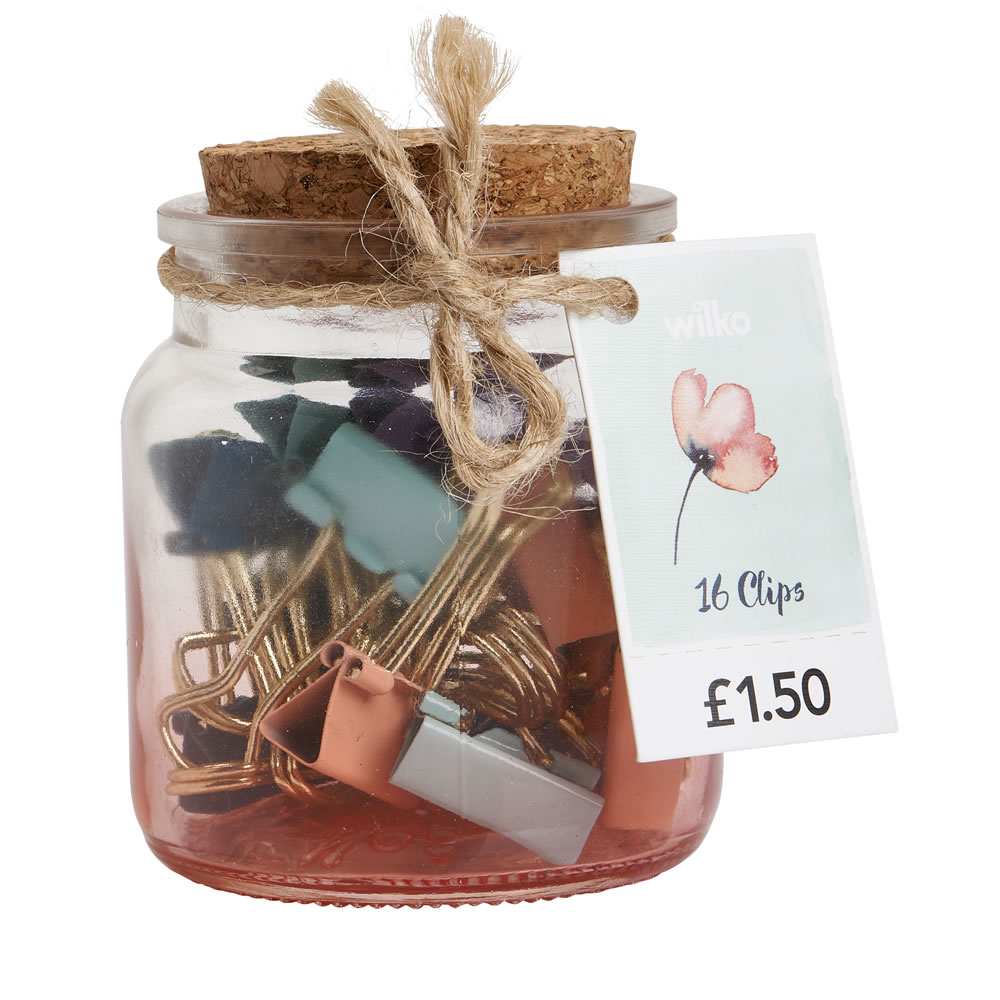 Wilko Expression Mini Binder Clip Jar 16 pack Wilko