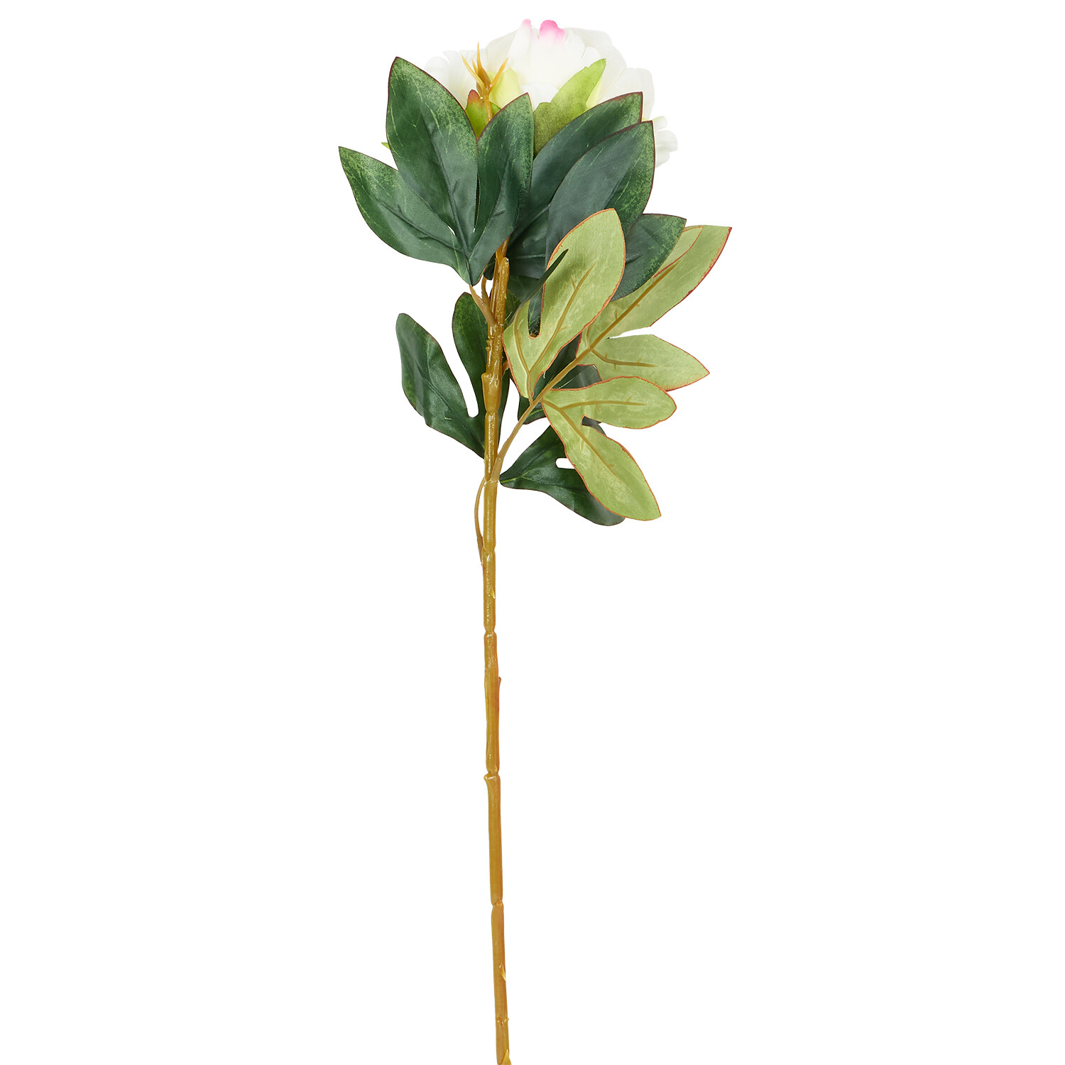 Faux Millicent Peony Image 5