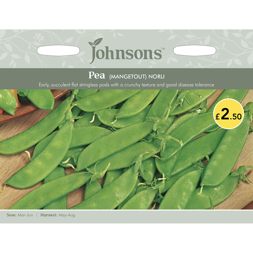 Johnsons Mangetout Pea Norli Seeds Image 2