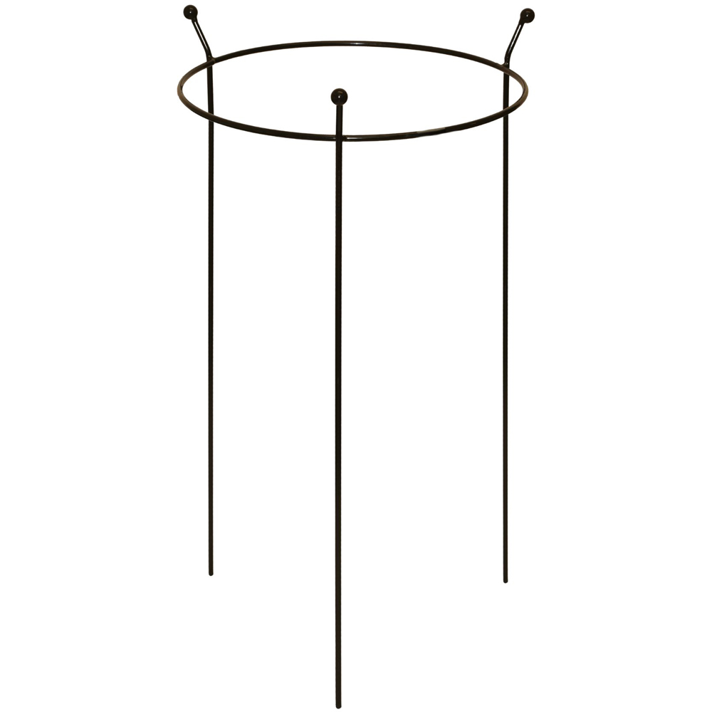 Samuel Alexander Steel Black Herbaceous Garden Plant Support Ring 60 x 35cm 6 Pack Image 4