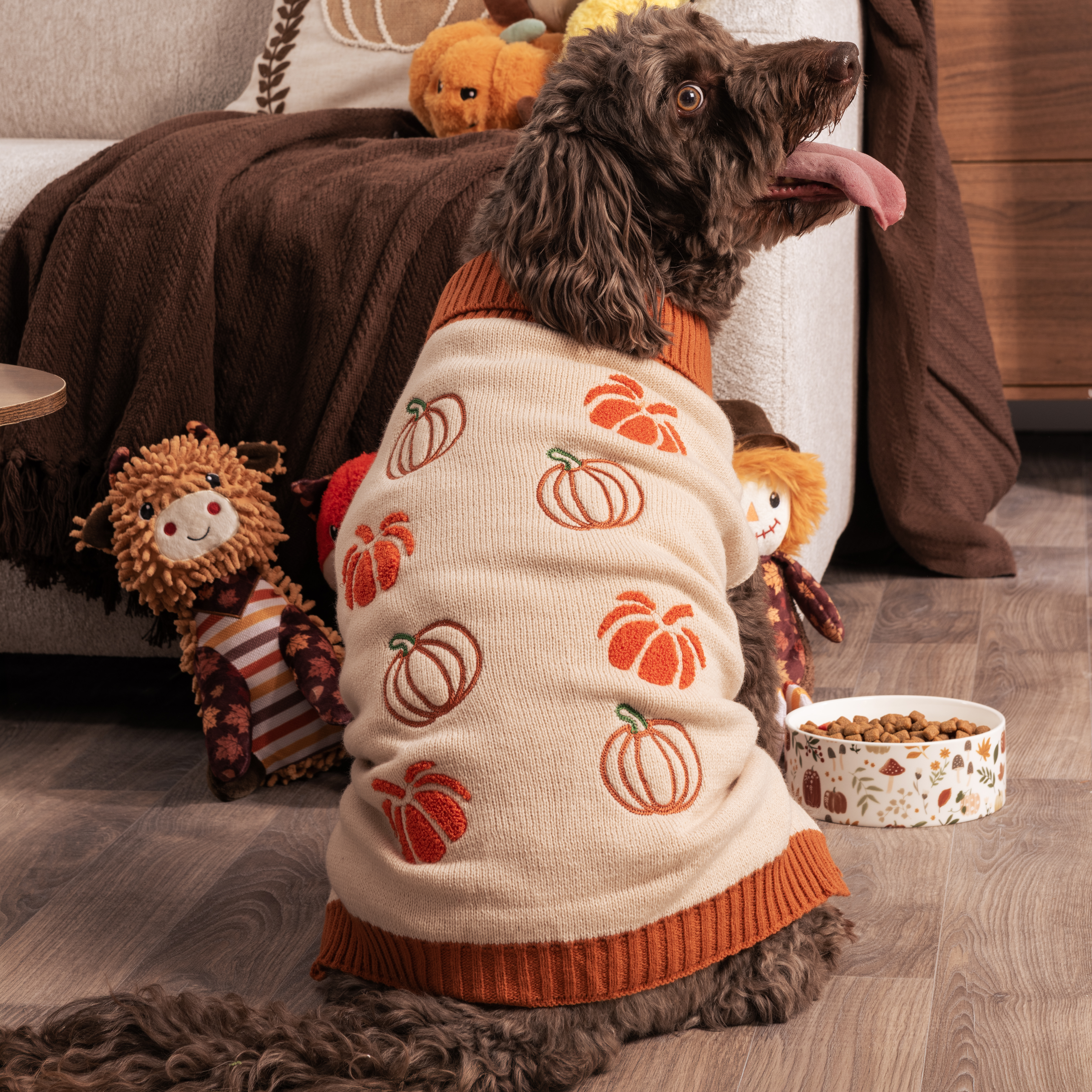 Pumpkin Dog Jumper Neutral M Image 2