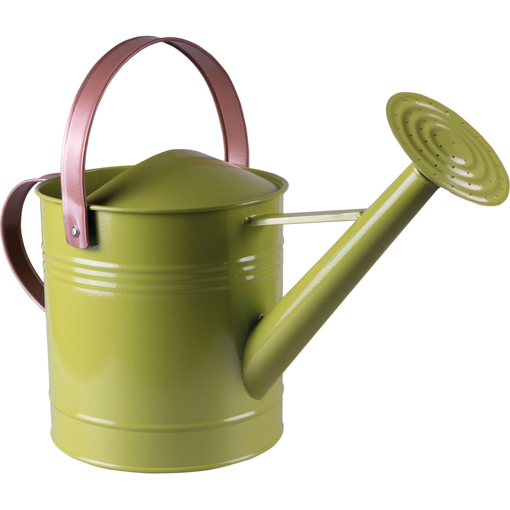 St Helens Green Metal Watering Can with Sprinkler Nozzle 4.5L Image 1