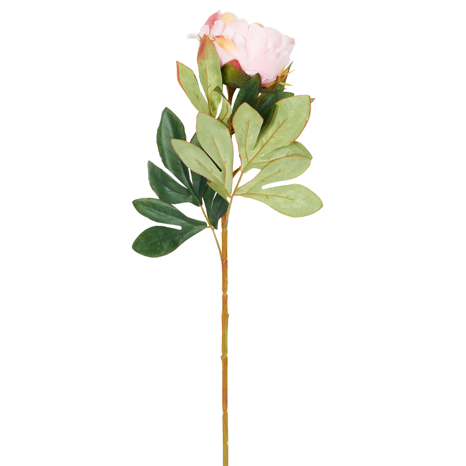 Faux Millicent Peony Image 4