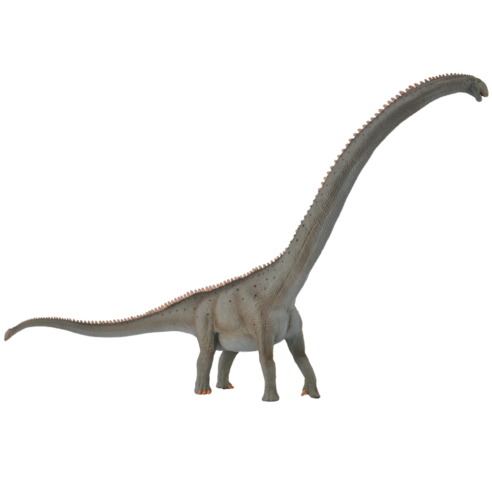 CollectA Mamenchisaurus Dinosaur Toy Grey Image
