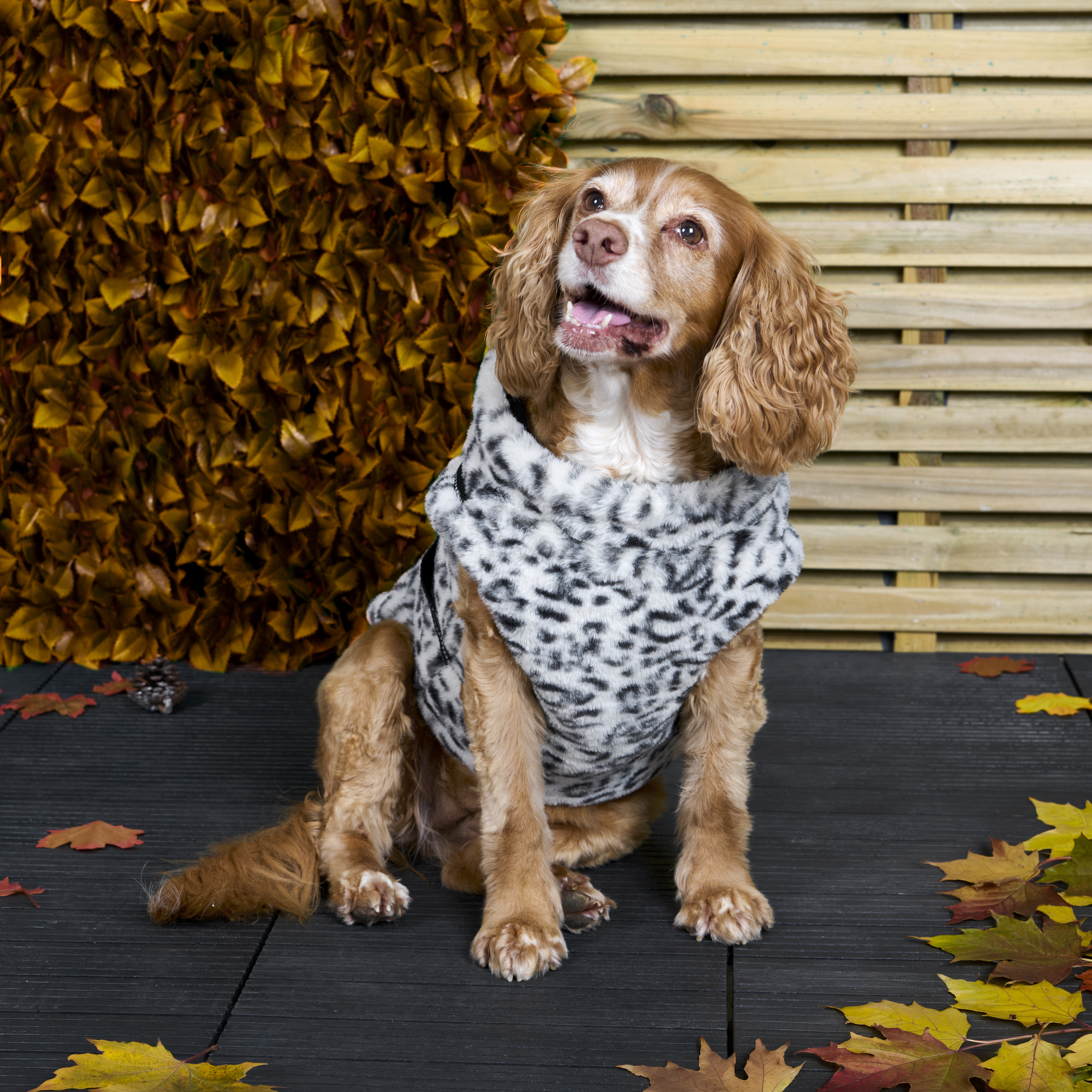 Fluffy Harness Dog Coat XS Image 11