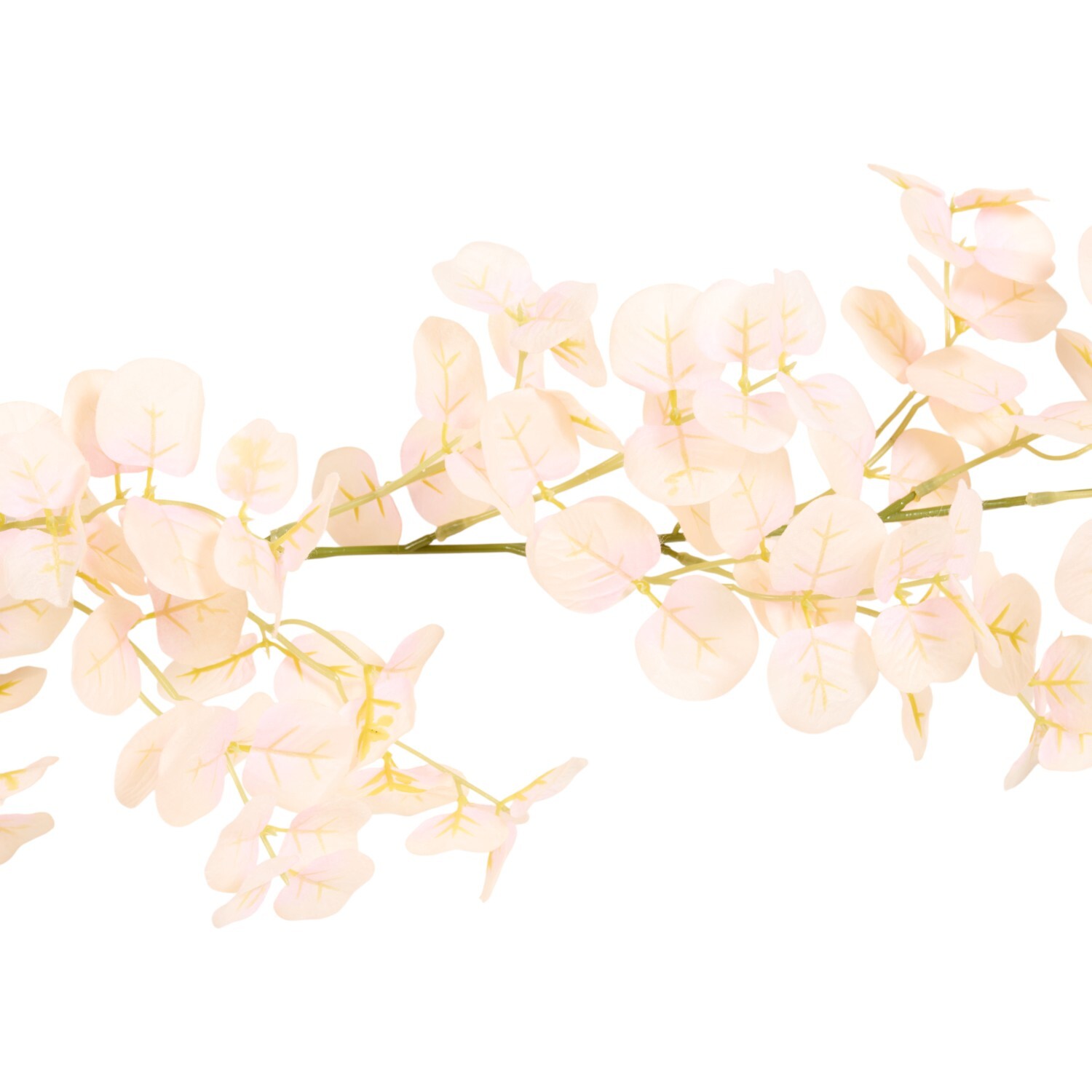 Champagne Eucalyptus Garland Image 4
