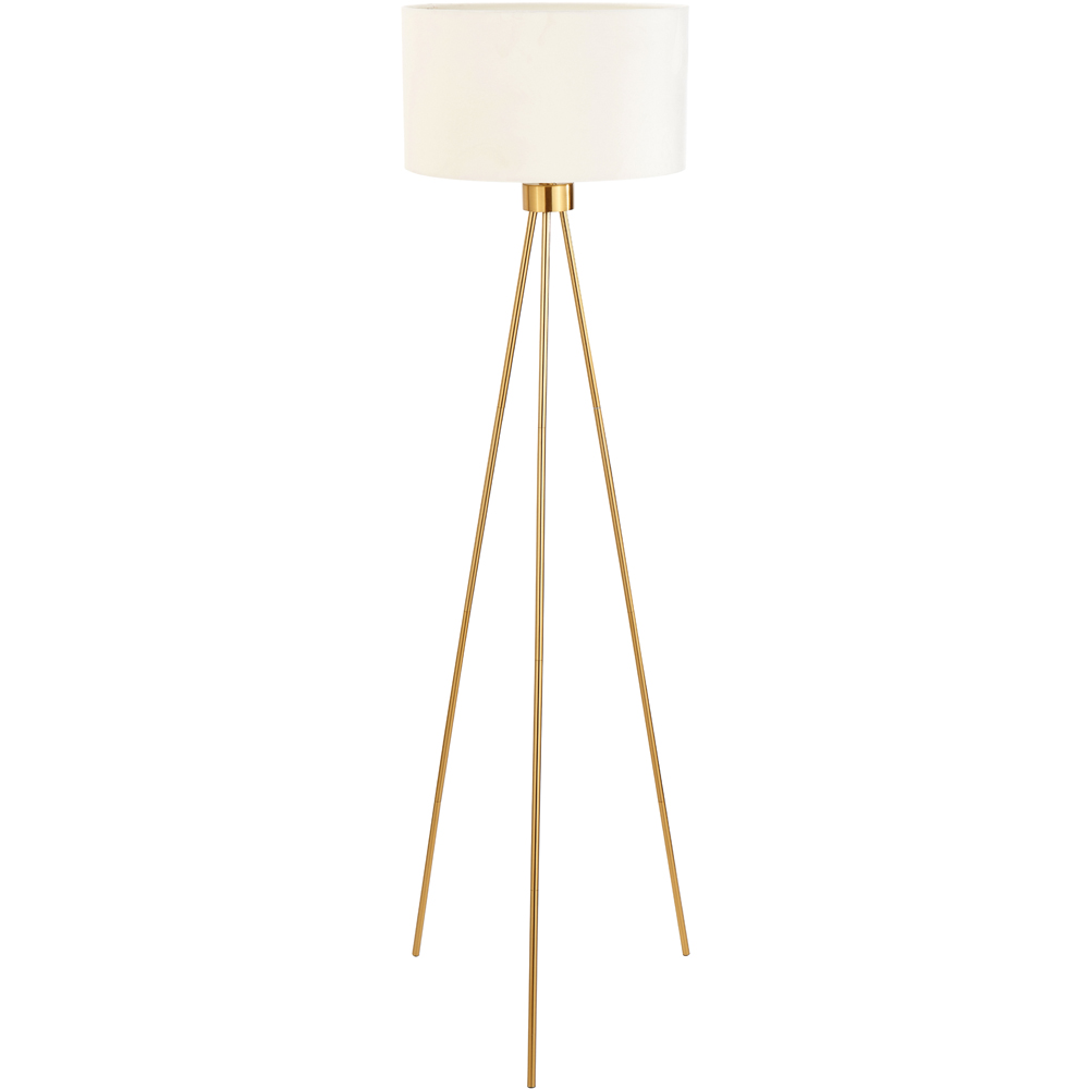 Pacific Lifestyle Houston Brushed Brass Metal Tripod Floor Lamp Image 1