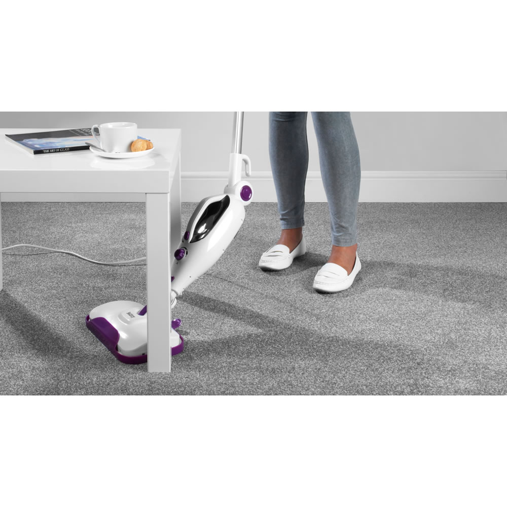 salter steam mop