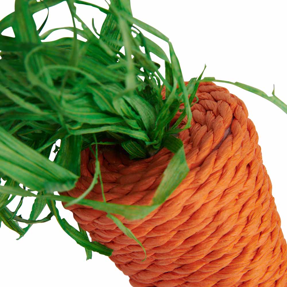 Wilko Carrot Shaped Pet Toy Image 3