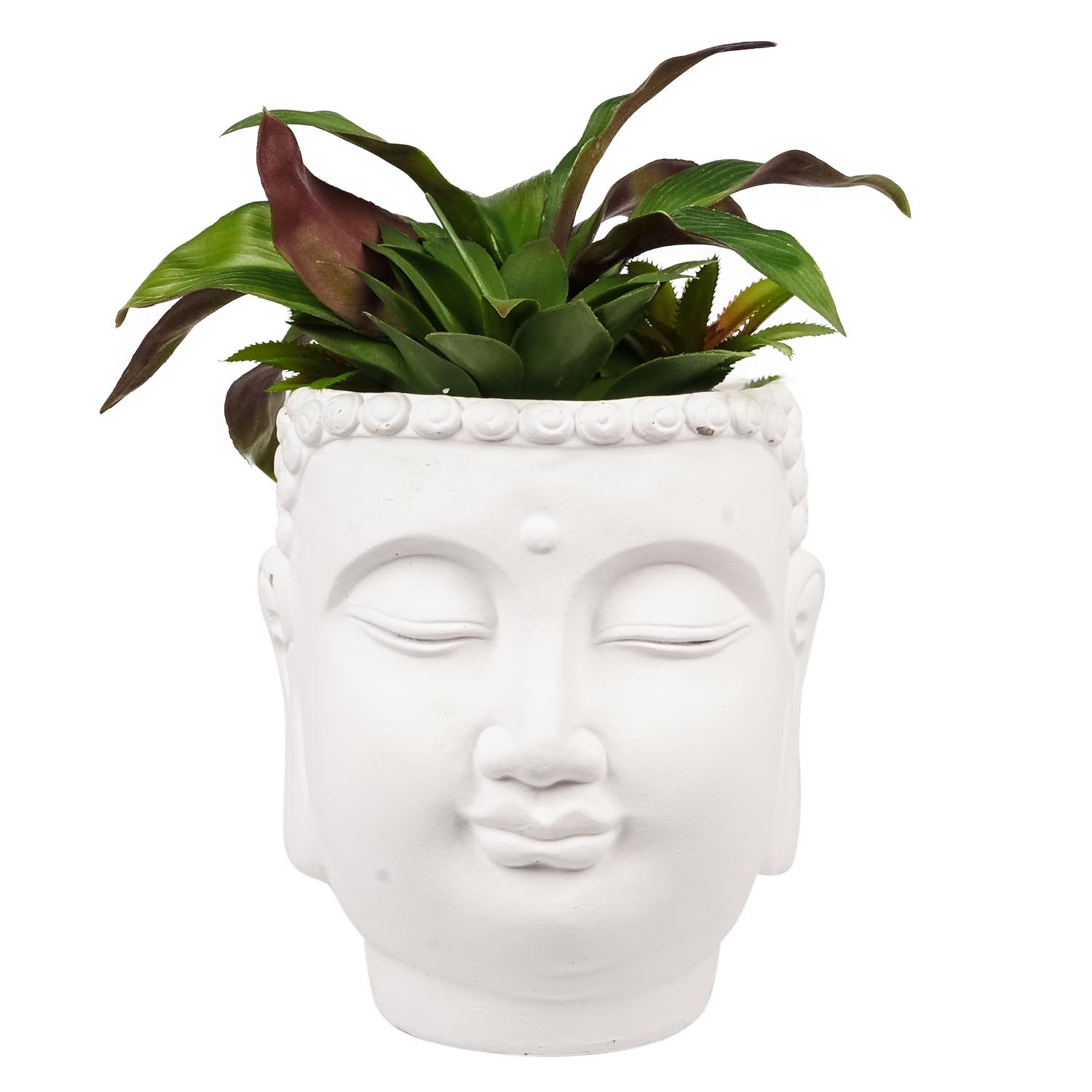 Faux Succulent in Buddha Pot Image