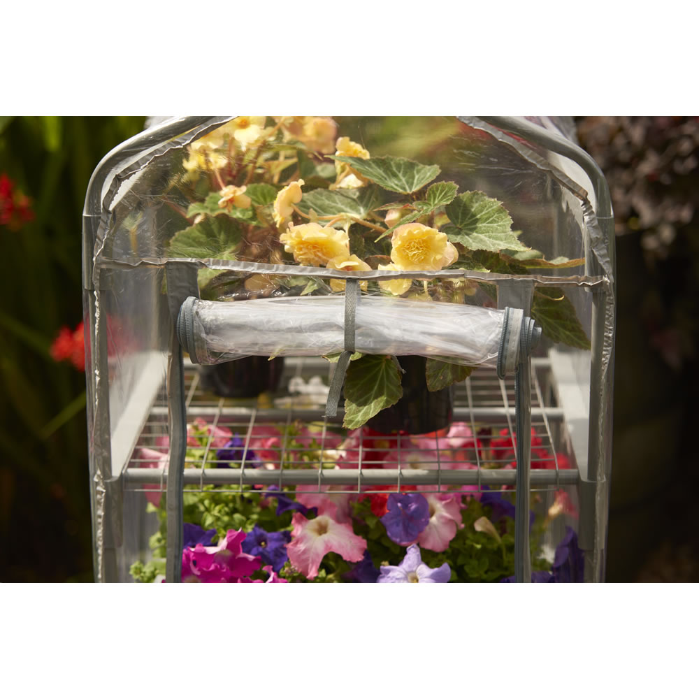 Wilko Mini Greenhouse W50 x H130 x D45cm Image 4
