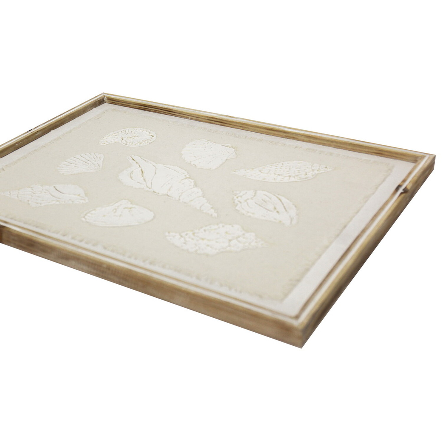Embossed Seashell Framed Wall Art Image 4