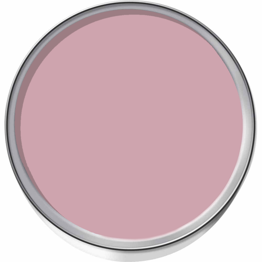 Wilko Elegant Rose Flat Matt Emulsion Paint 2.5L Image 3
