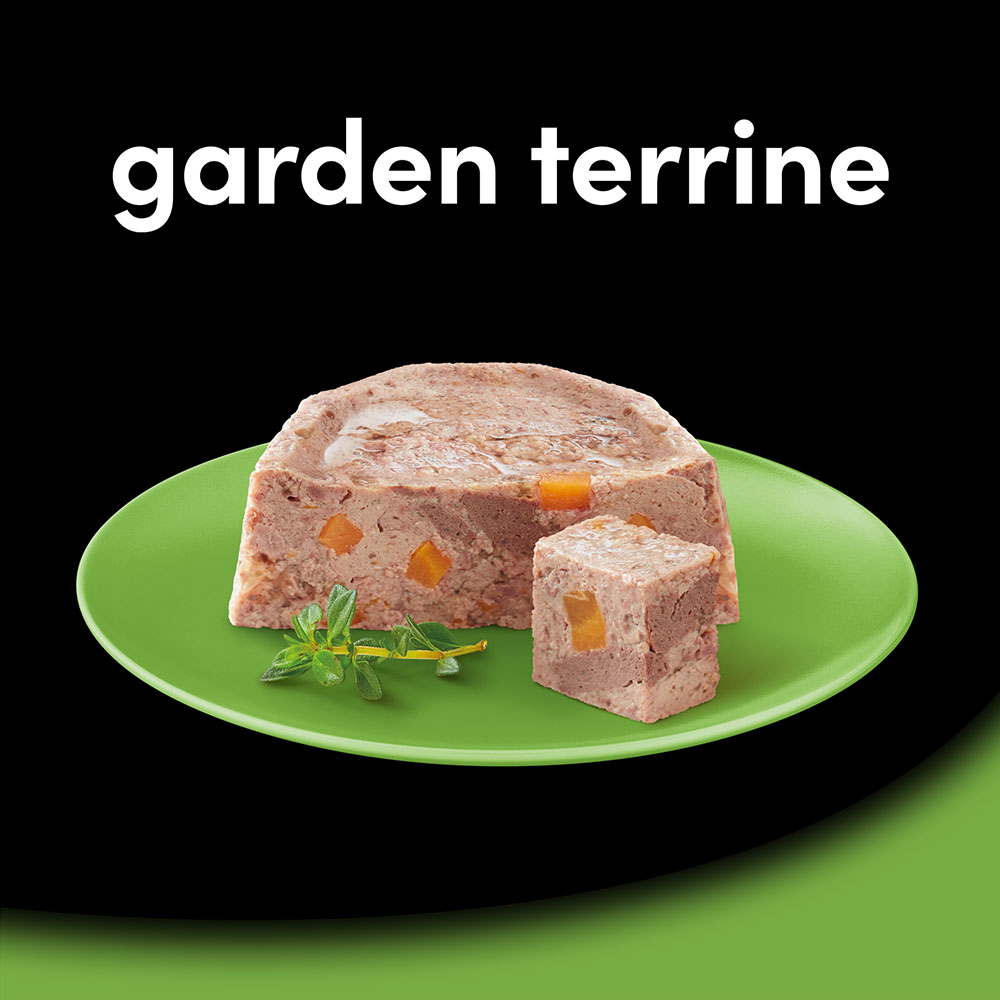 Cesar Garden Terrine Selection Dog Food Trays 8 x 150g Image 8