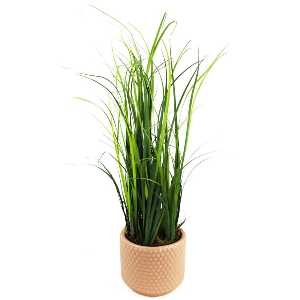 Leaf Artificial Grass Plant in Dusty Pink Ceramic Planter 1.9ft Image 1