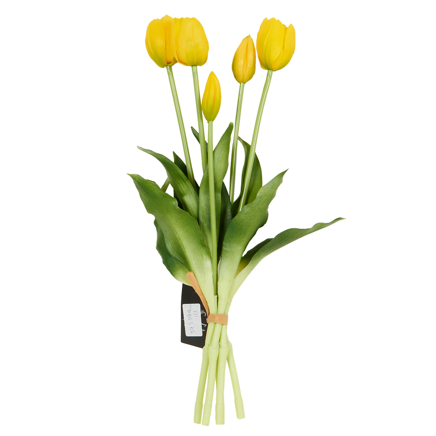 Tulip Bunch Image 1