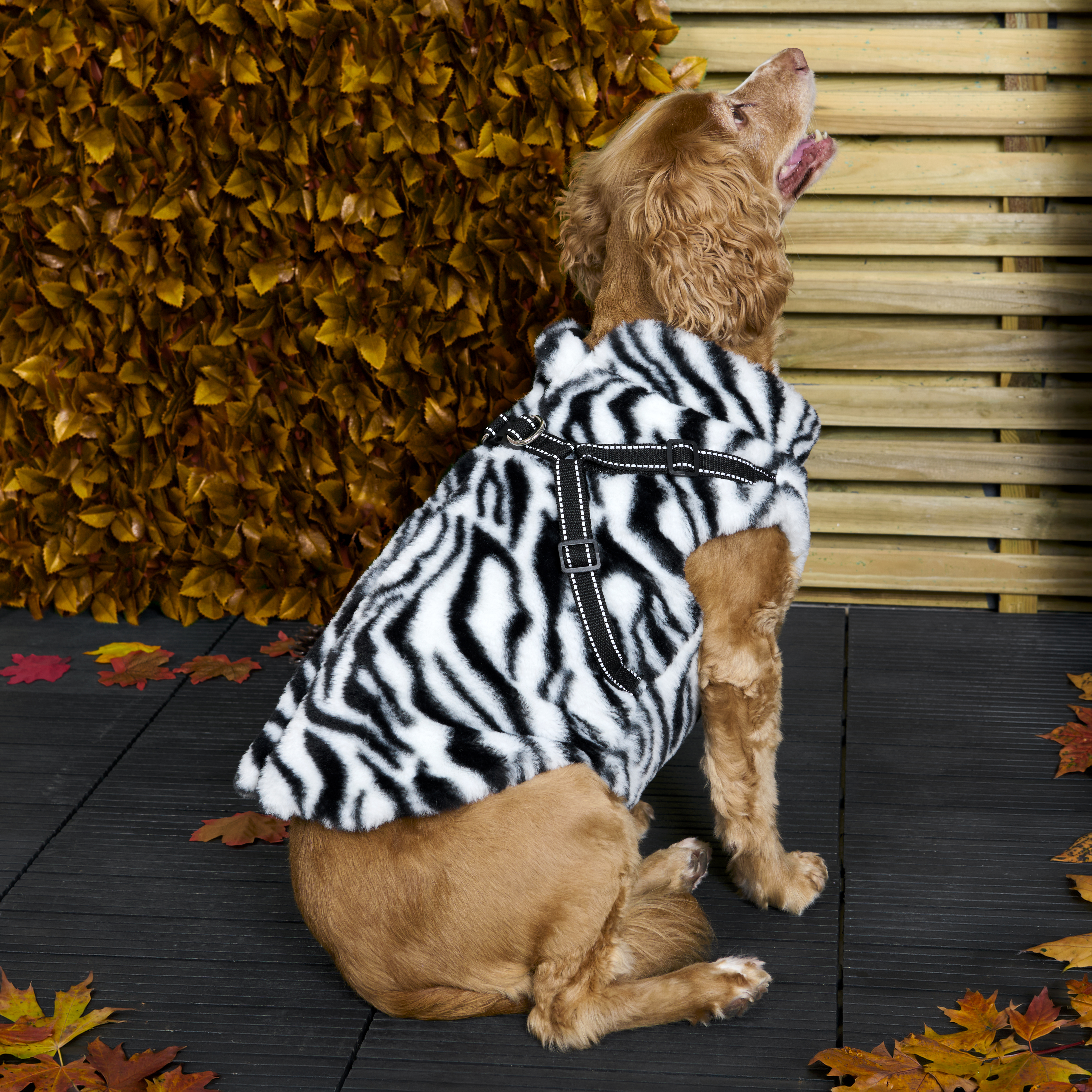 Fluffy Harness Dog Coat XS Image 5
