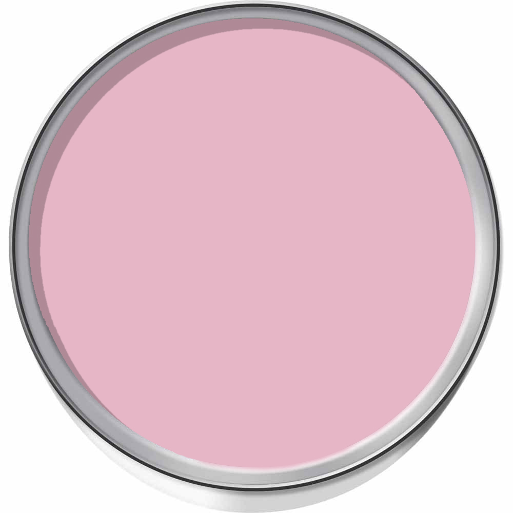 Wilko Walls & Ceilings Cane Matt Emulsion Paint 2.5L Image 3
