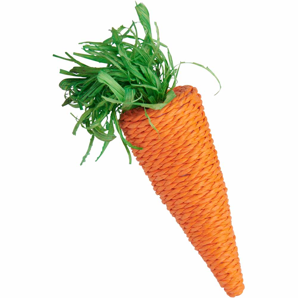 Wilko Carrot Shaped Pet Toy Image 2