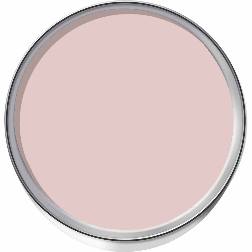 Wilko Bathroom Delicate Blossom Mid Sheen Emulsion Paint 2.5L Image 3