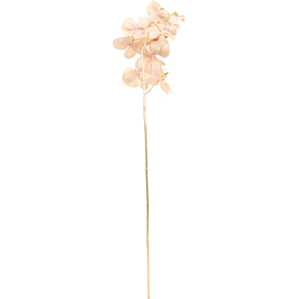 Shimmer Orchid Stem Image 3