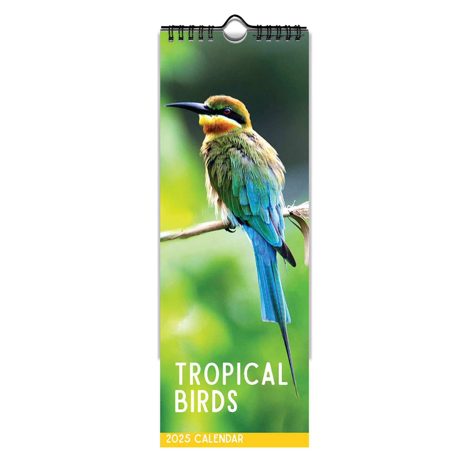 2025 Wildlife Slimline Spiral Calendar - Multicolour Image 6