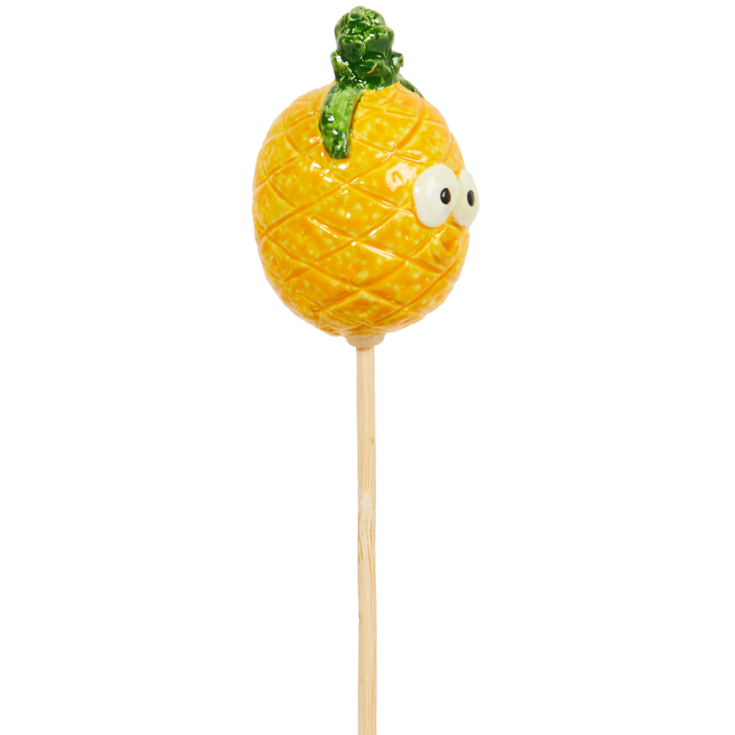 Fruit and Veg Garden Stakes Image 13