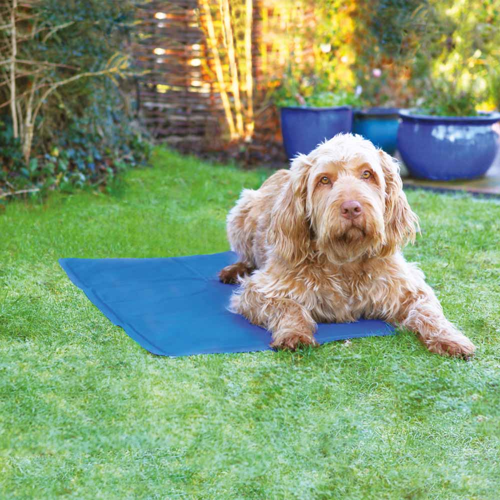 Rosewood Cooling Dog Mat Medium Image 2