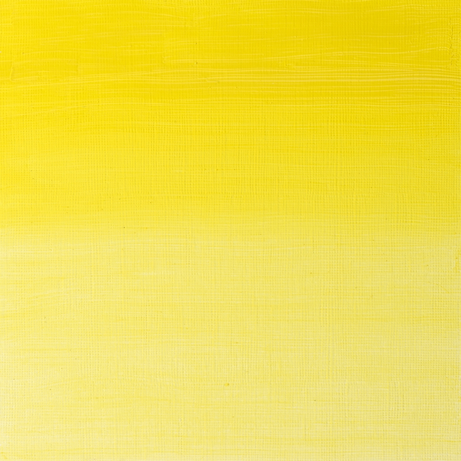 Winsor and Newton Griffin Alkyd Oil Colour - Winsor Lemon Image 2