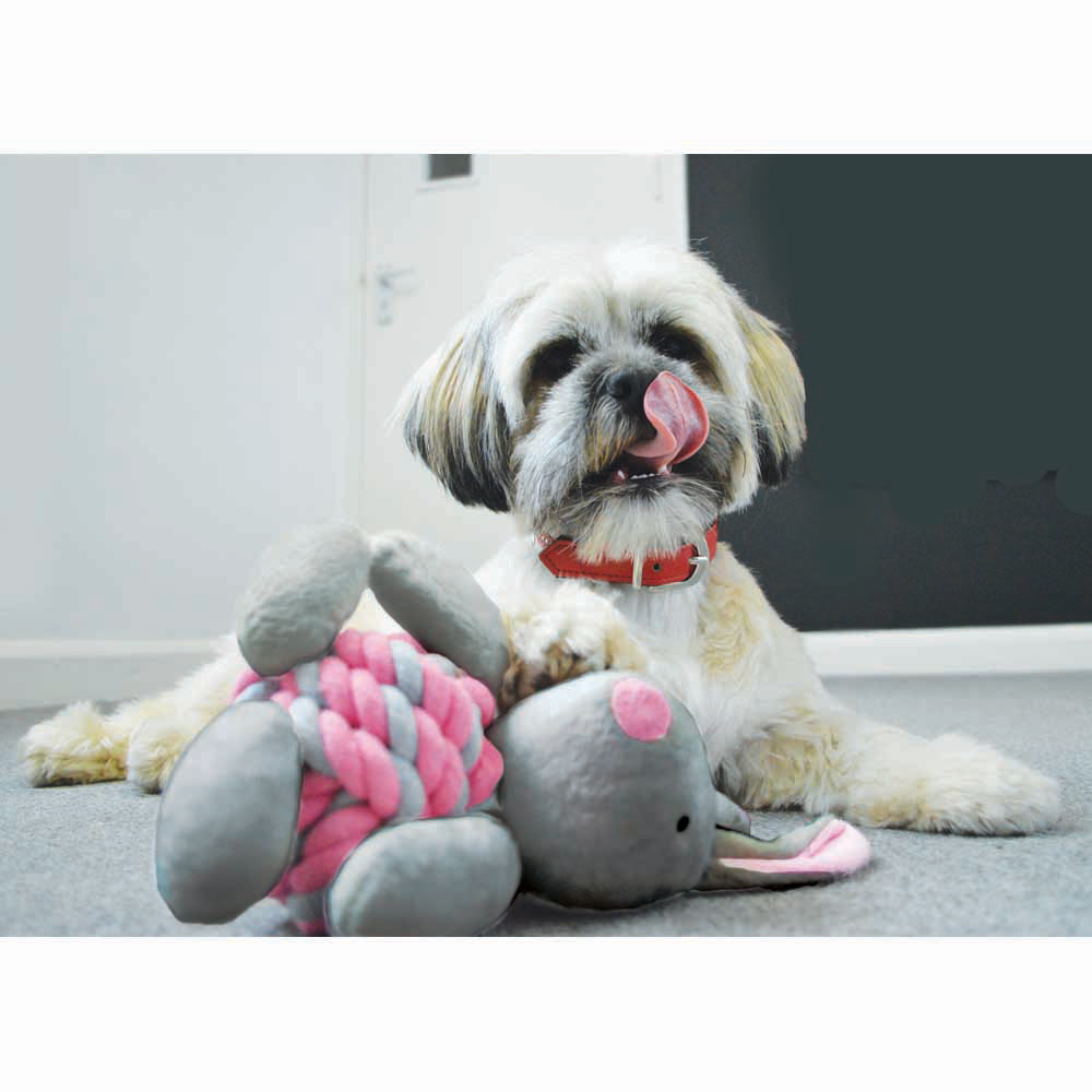 Single Little Rascals Knottie Bunny Puppy Toy in Assorted styles Image 5