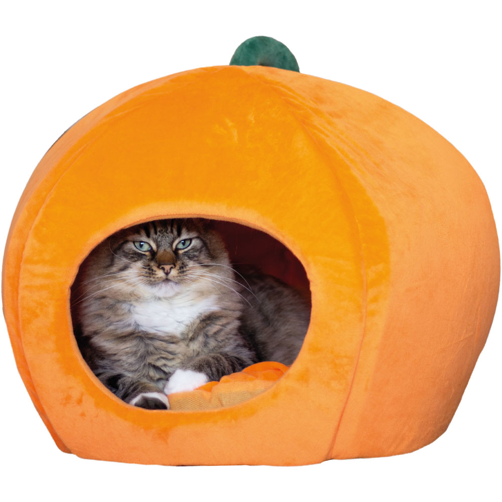 Wilko Halloween Pumpkin Pet Bed Image 3