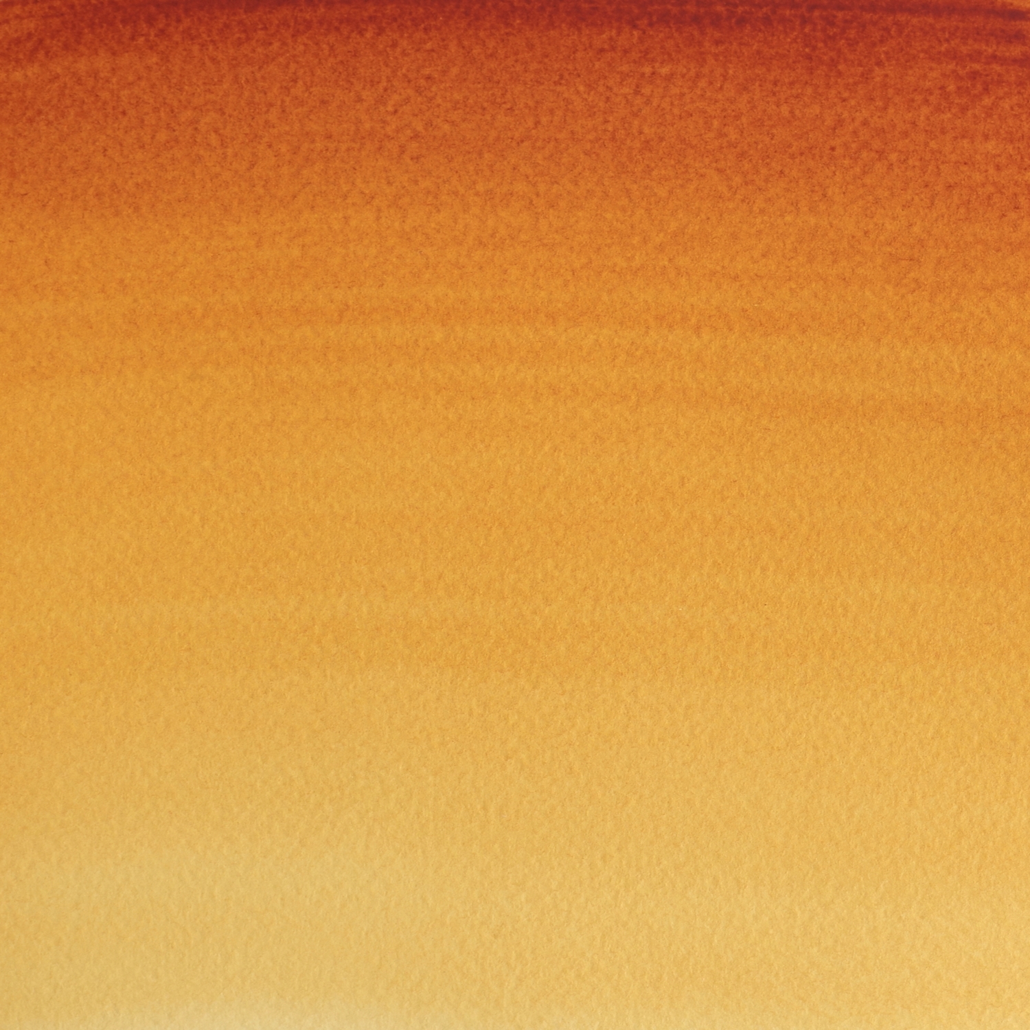Winsor and Newton 14ml Professional Watercolour Paint - Quinacridone Gold Image 2