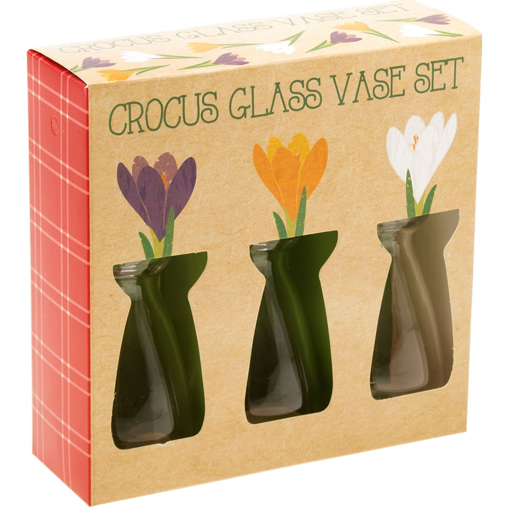 Wilko Crocus Glass Vases 3pk Image