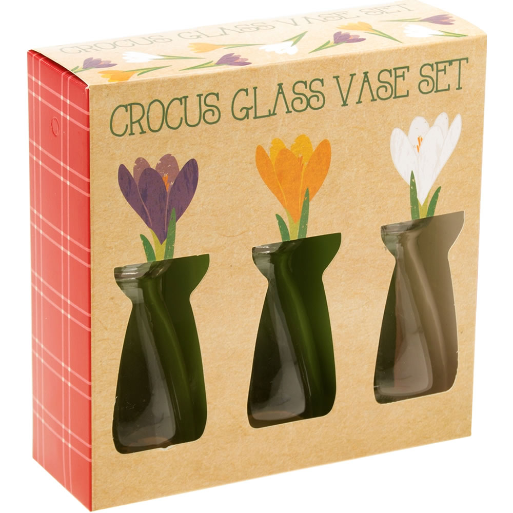 Wilko Crocus Glass Vases 3pk Wilko