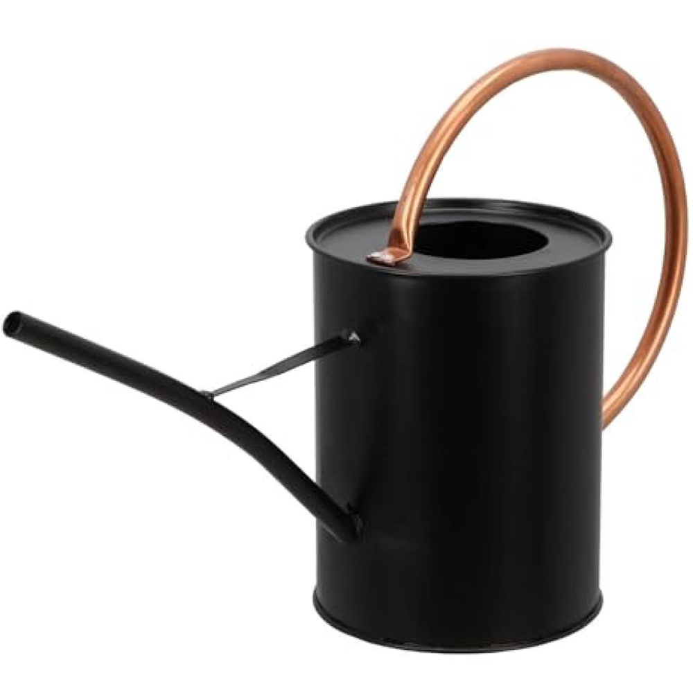 Fallen Fruits Black Copper Decorative Watering Can 1.6L Image