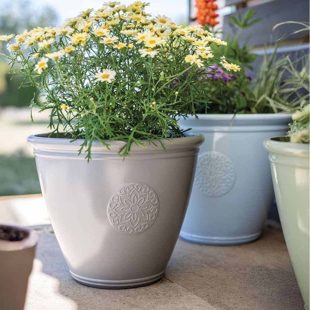 Plant Avenue Eden Emblem Grey Plant Pot 40cm Image 2