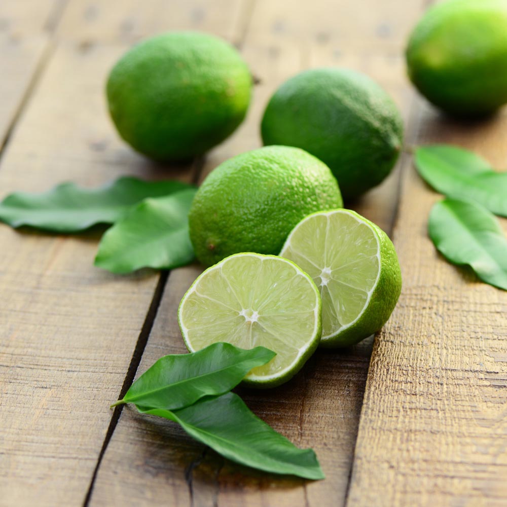 Yougarden Large Lime Tree 6L Pot  - wilko