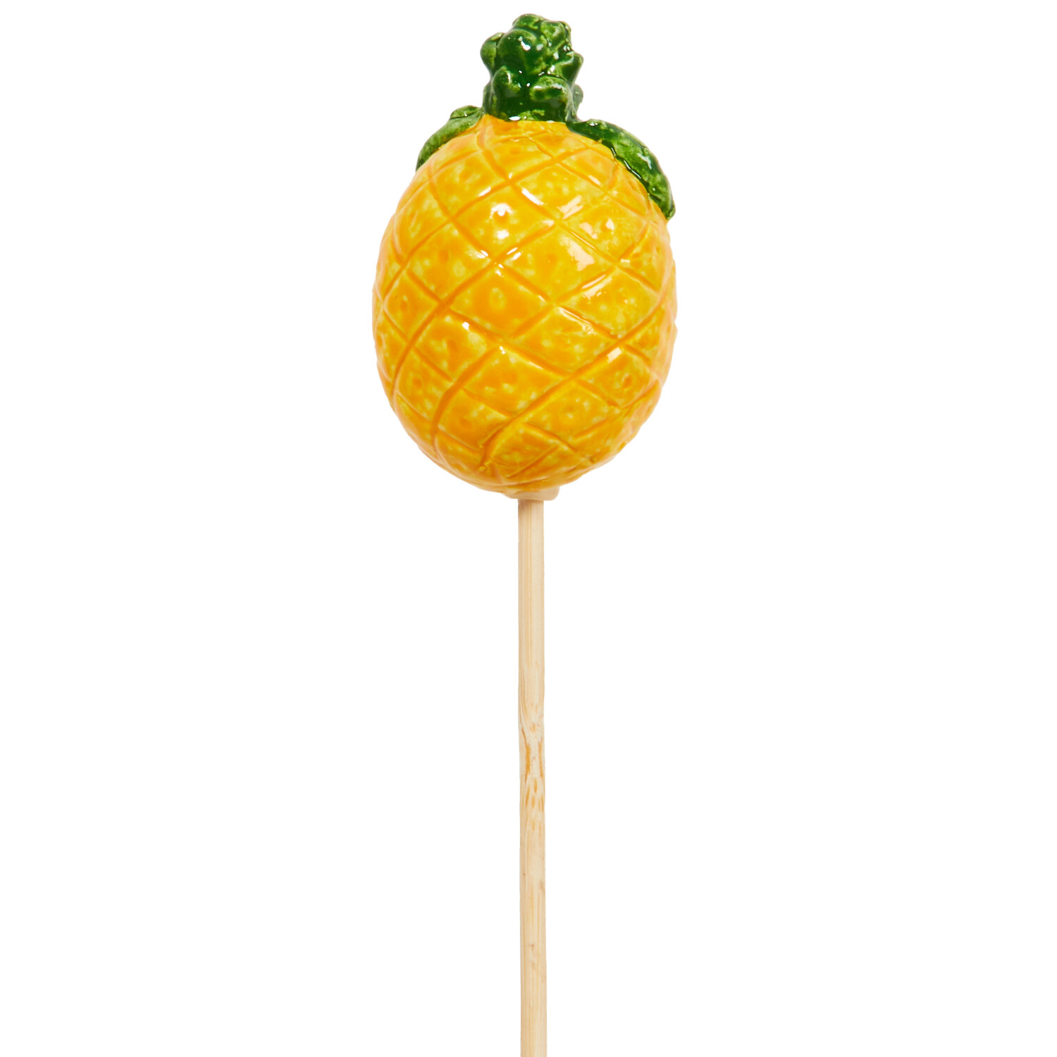 Fruit and Veg Garden Stakes Image 14
