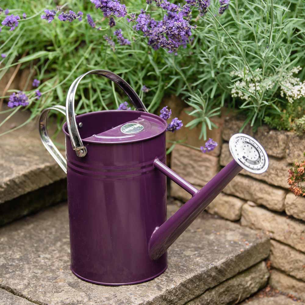 Kent and Stowe Deep Violet Watering Can 4.5L   Image 2