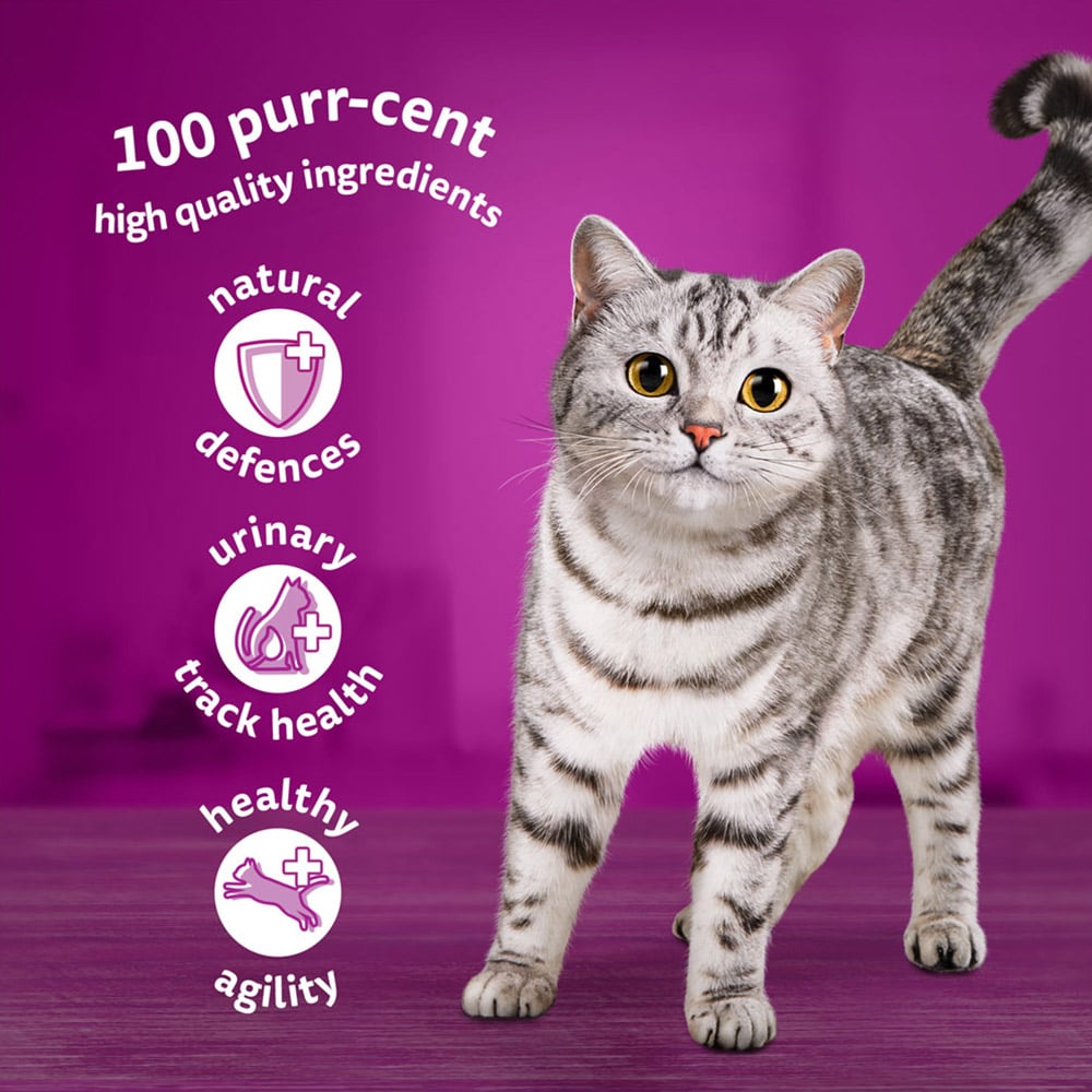 Whiskas Poultry Selection in Jelly Senior Wet Cat Food Pouches 85g Case of 4 x 12 Pack Image 5