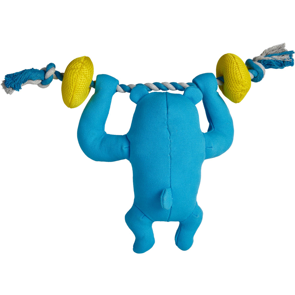 Wilko Bear Dumbbell Dog Toy Image 5