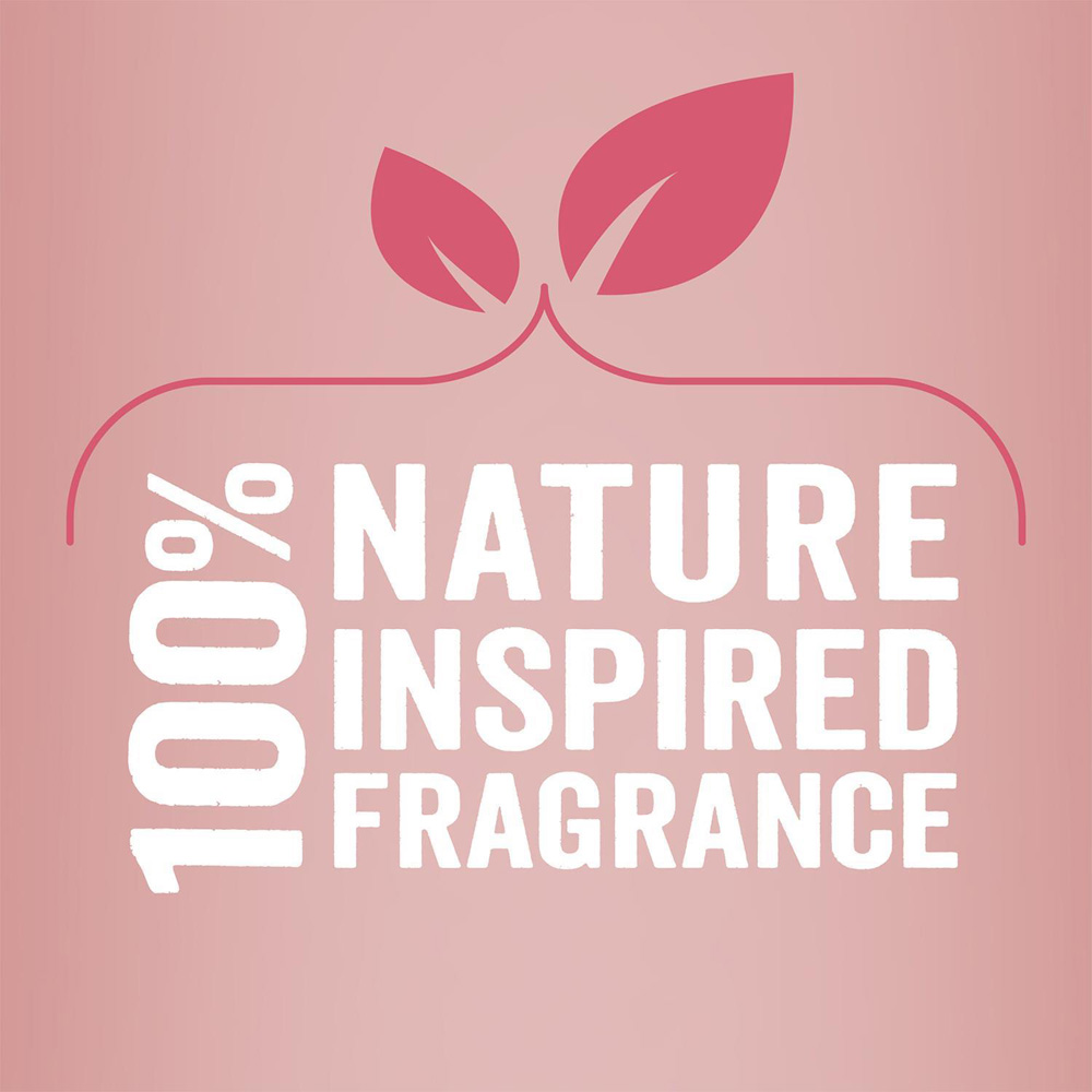 Radox 100% Nature Inspired Fragrance Feel Detoxed Bath Soak 500ml 6 Pack Image 7